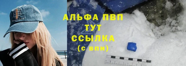 прущие грибы Нефтекумск