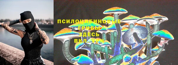 2c-b Чегем